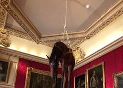 Enlace a Decoración estrafalaria