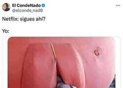 Enlace a Cuando Netflix pregunta