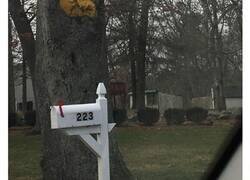 Enlace a Extrañas imágenes que seguramente te harán estallar el cerebro después de verlas