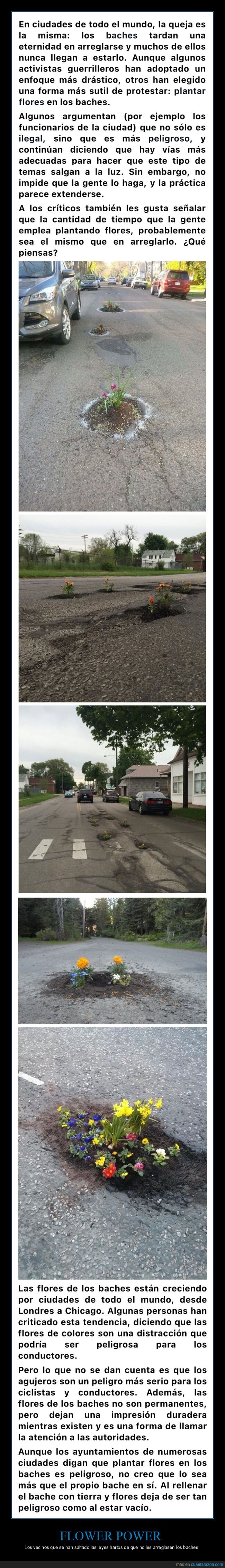 flores,baches,carreteras