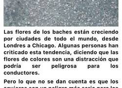 Enlace a Los vecinos que se han saltado las leyes hartos de que no les arreglasen los baches