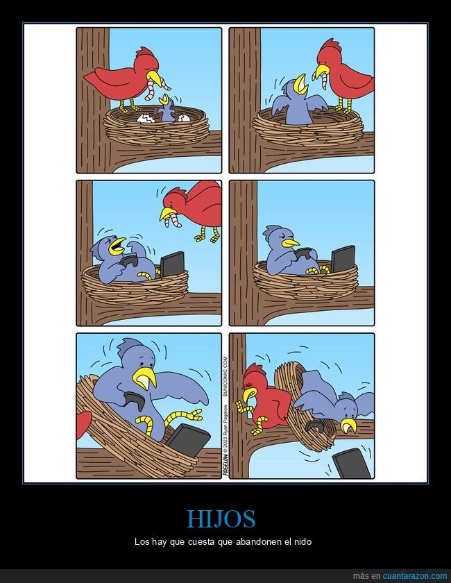 pájaros,hijos,nido