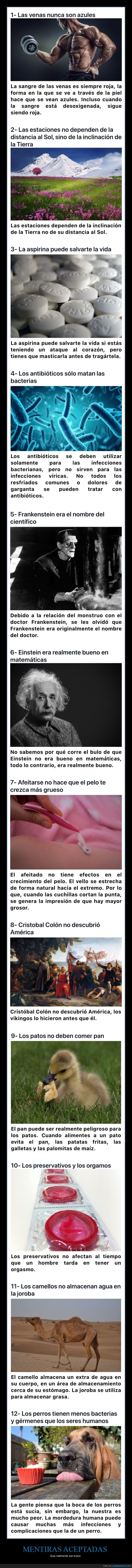 mentiras,aceptadas,curiosidades