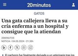 Enlace a Madre preocupada por su pequeño