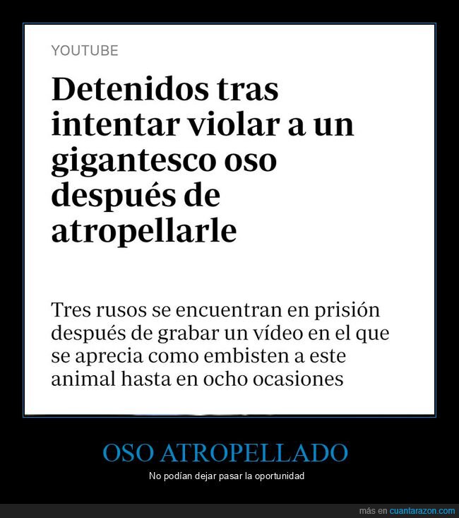 atropellar,oso,rusos,wtf