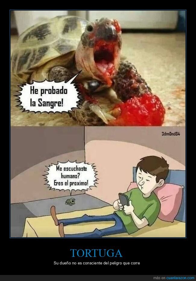 sangre,tortuga