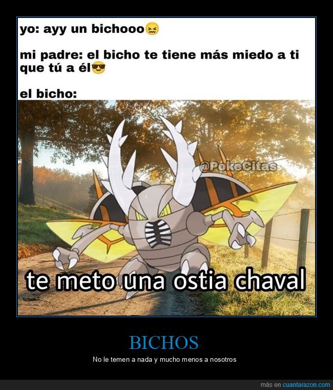 bichos,miedo