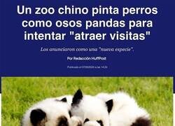 Enlace a Seguro que nadie lo notará...