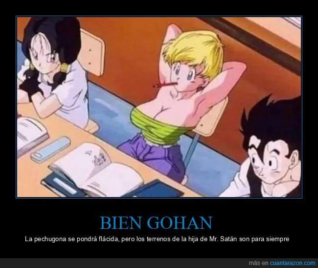 dragon ball,gohan,mr satán,terrenos,videl