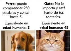 Enlace a Diferencias de edad