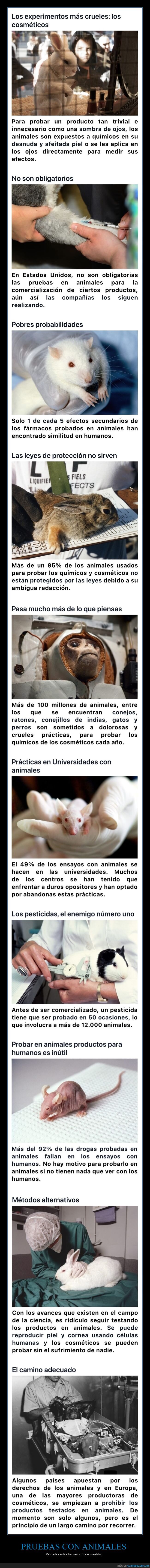 pruebas,animales
