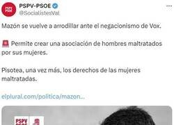 Enlace a Polémica por una asociación de hombres maltratados