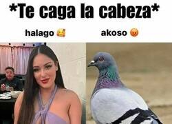 Enlace a La delgada línea entre halago y acoso