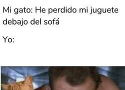 Enlace a Lo que sea por el michis