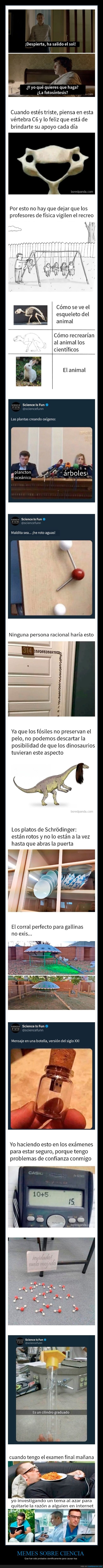 memes,ciencia