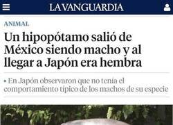 Enlace a Cambió de género durante el viaje