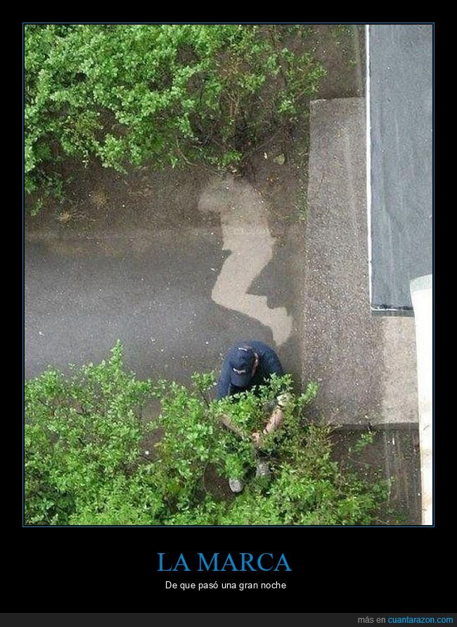 durmiendo,lluvia,marca,wtf