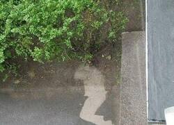 Enlace a Parece que ha dormido bien