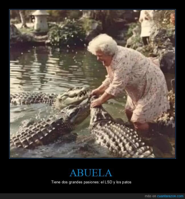 abuela,cocodrilos