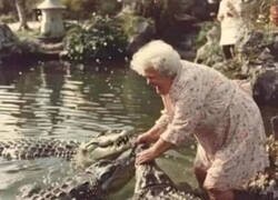 Enlace a Los hobbies de la abuela