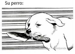 Enlace a Memes divertidos y ocurrentes que te darán una razón para sonreír