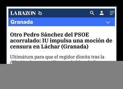 Enlace a El otro Pedro Sánchez
