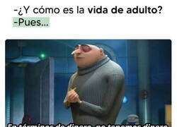 Enlace a La vida de adulto resumida