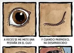 Enlace a Pestaña en el ojo