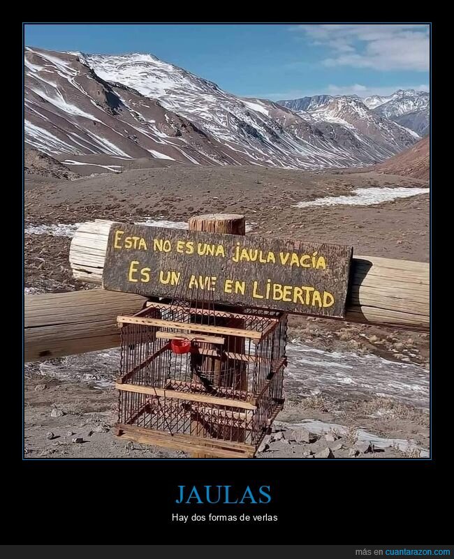 jaula,vacía,ave,libertad