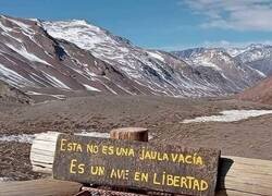 Enlace a Distintos puntos de vista