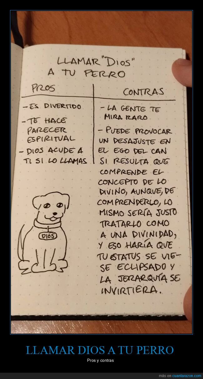 contras,dios,nombres,perros,pros