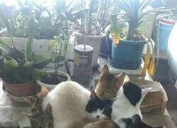 Enlace a No hay más cajas