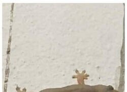 Enlace a Se ha comido todos los bichos del barrio