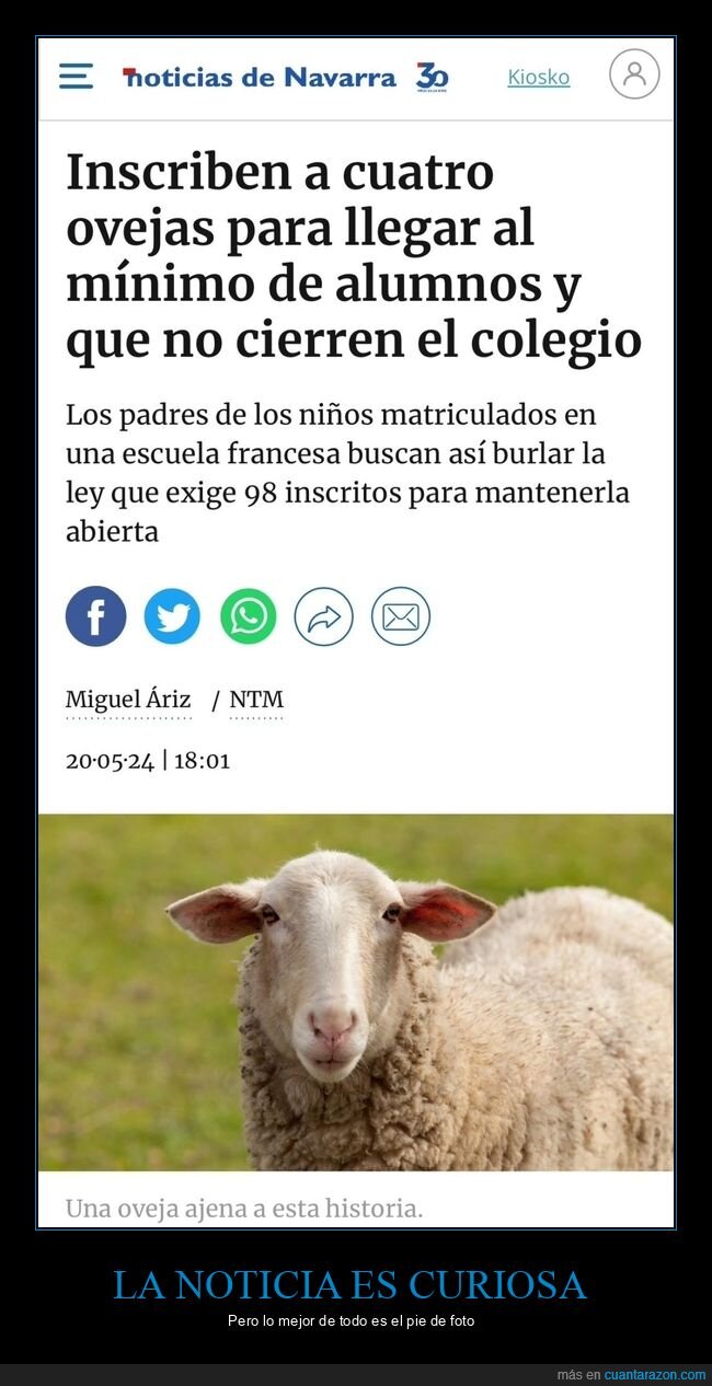 ovejas,alumnos,colegio