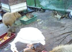 Enlace a Crimen y castigo