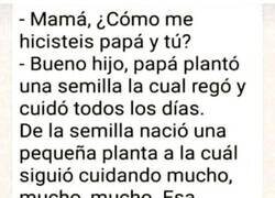 Enlace a Quién le manda preguntar...