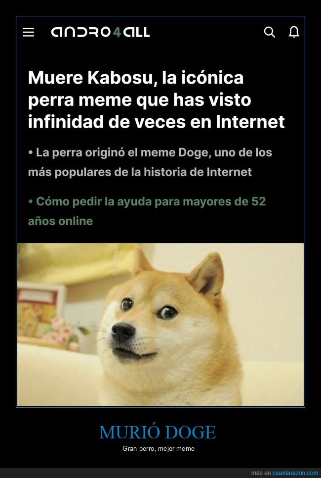 doge,muerte,dep