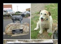Enlace a Homenaje a un héroe de cuatro patas