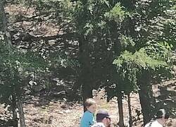 Enlace a Día de campo en familia