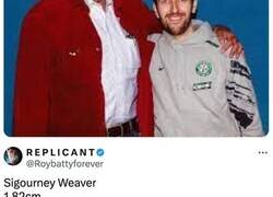 Enlace a Actores, actrices y famosos que tal vez no sabías que son gigantes