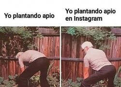 Enlace a Estilo Instagram