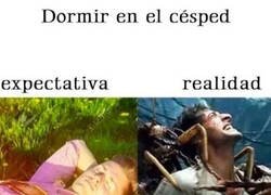 Enlace a Mal sitio para dormir