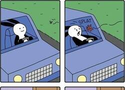 Enlace a Un bicho en el parabrisas