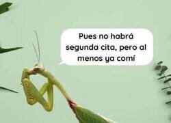 Enlace a Ni tan mal...