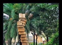 Enlace a Homenaje a los maestros