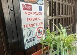 Enlace a Mascotas sí, niños no