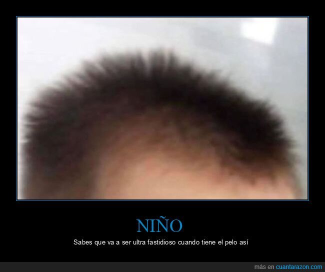 fastidioso,niño,pelo