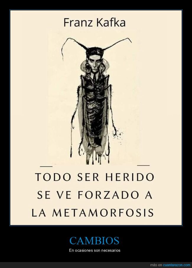 kafka,herido,metamorfosis