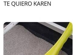 Enlace a Amor felino