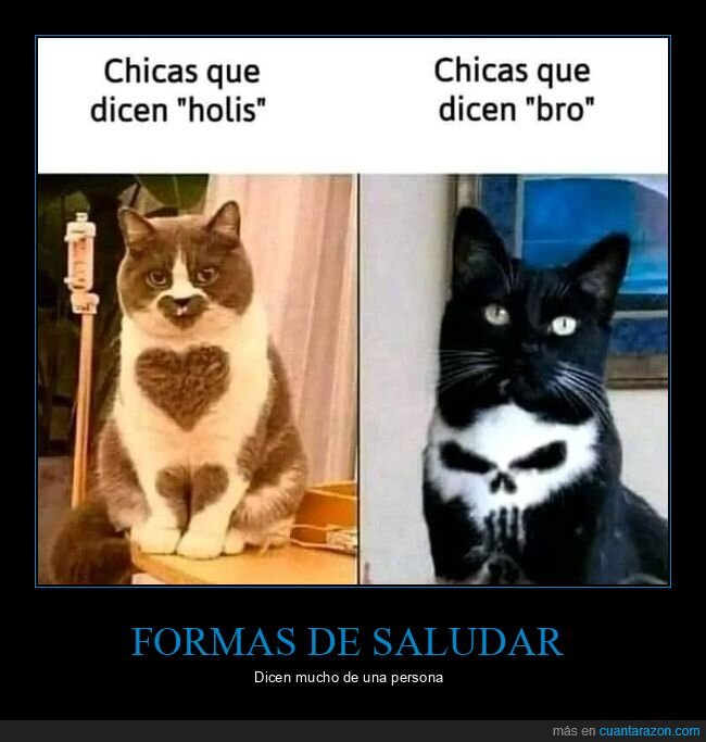 chicas,saludar,gatos